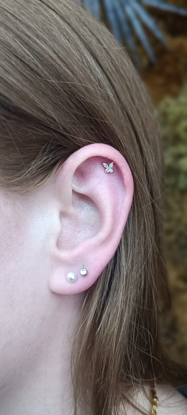 Flat Helix, Lobe
