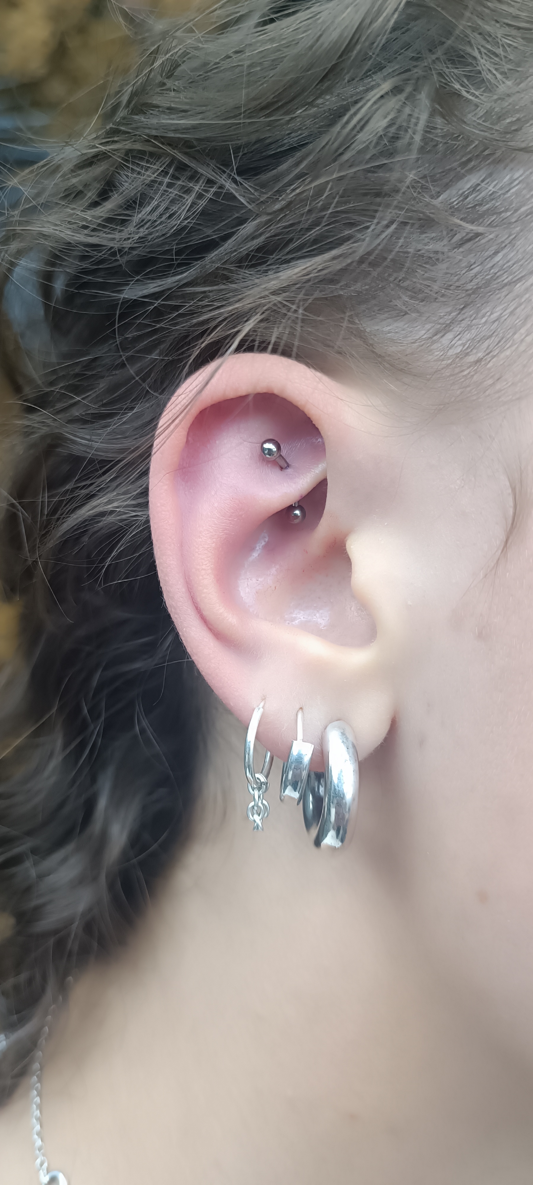 Rook Lobe