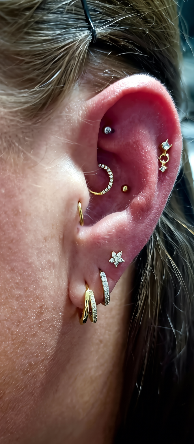 WhatsApp Image 2026 04 01 At 2.17.47 PM